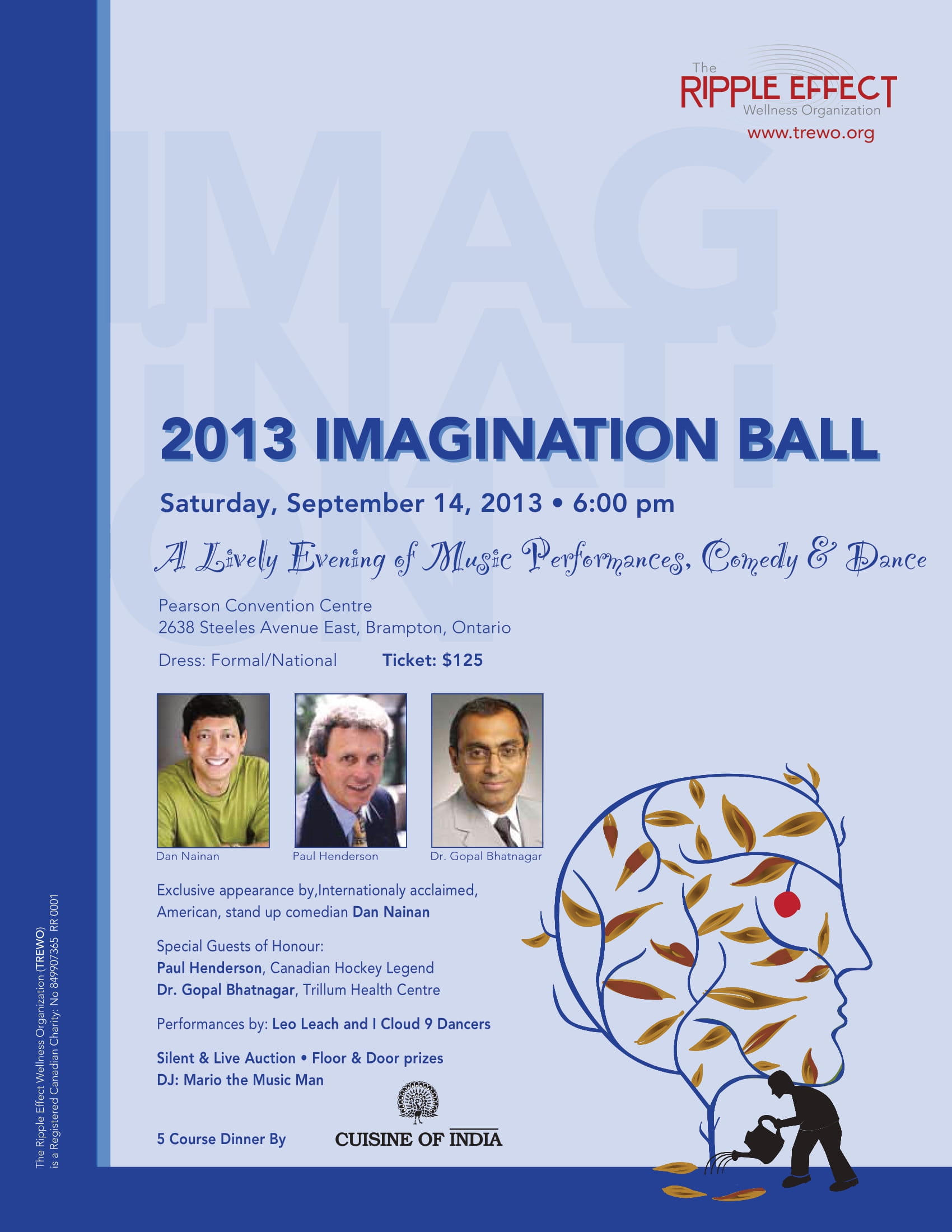 Imagination Ball 2013