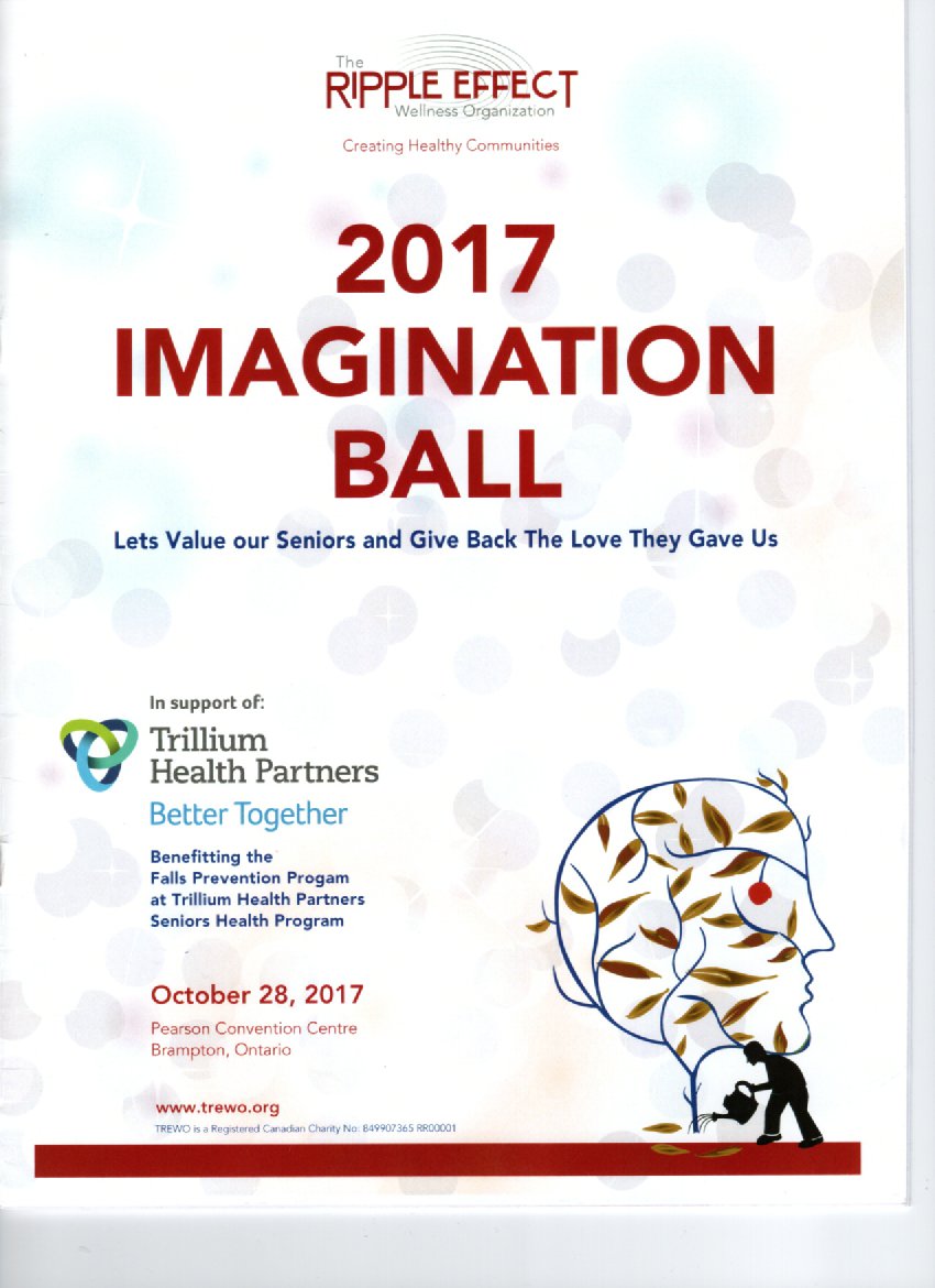Imagination Ball 2017