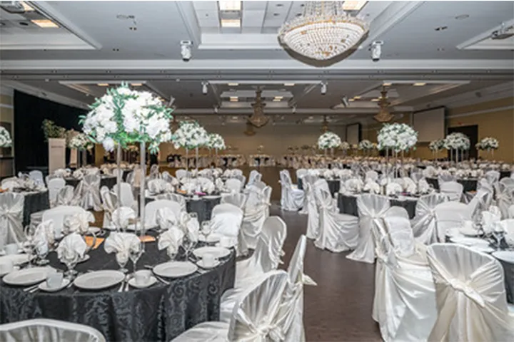 Imagination Ball 2024